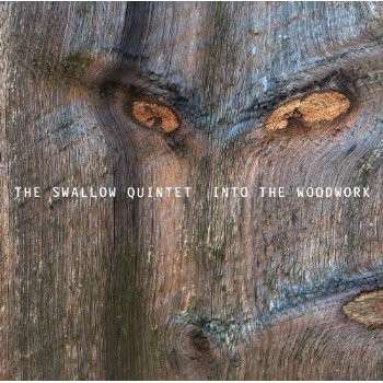 Cover for Steve Swallow · In the Woodwork (CD) (2013)