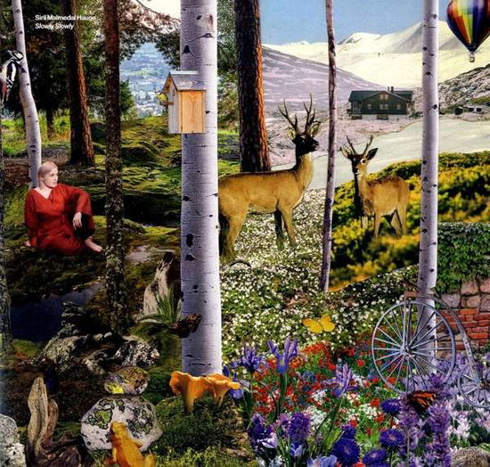 Lp-siril Malmedal Hauge-slowly Slowly - LP - Música - - 0687437793806 - 23 de julho de 2021