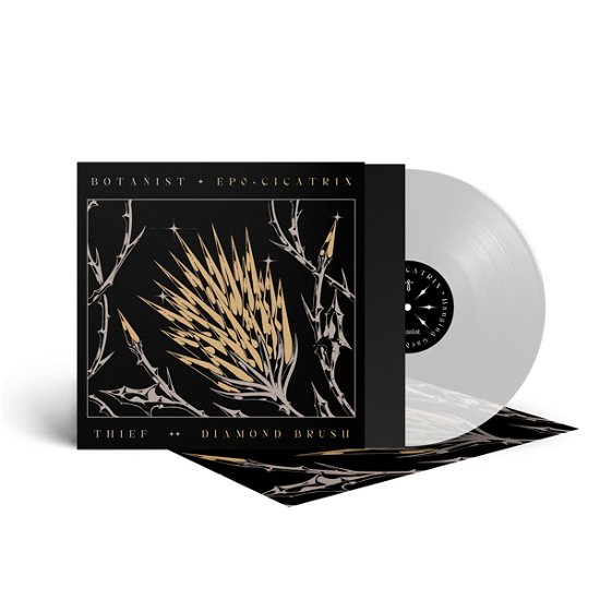 Botanist / Thief · Cicatrix / Diamond Brush (Clear Vinyl) (LP) (2021)