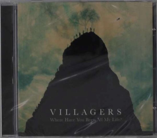 Where Have You Been All My Life? (Jewel Case) - Villagers - Muzyka - DOMINO RECORDS - 0887828036806 - 8 stycznia 2016