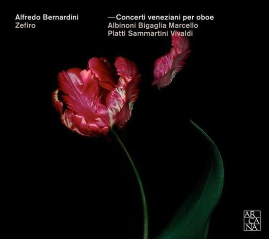 Venetian Oboe Concertos - Alfredo Bernardini - Musiikki - ARCANA - 3760195733806 - tiistai 25. marraskuuta 2014