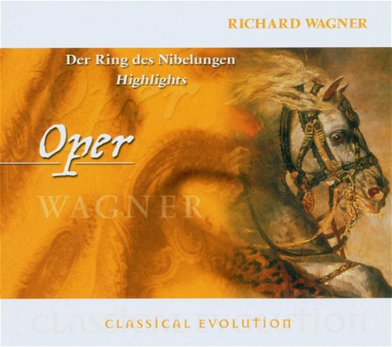 The Ring Of The Nibelungen - Wagner - Muziek - DELTA - 4006408145806 - 