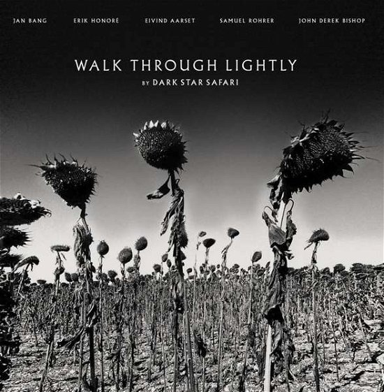 Dark Star Safari · Walk Through Lightly (LP) (2021)