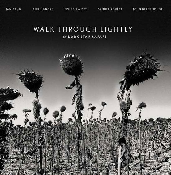 Cover for Dark Star Safari · Walk Through Lightly (LP) (2021)