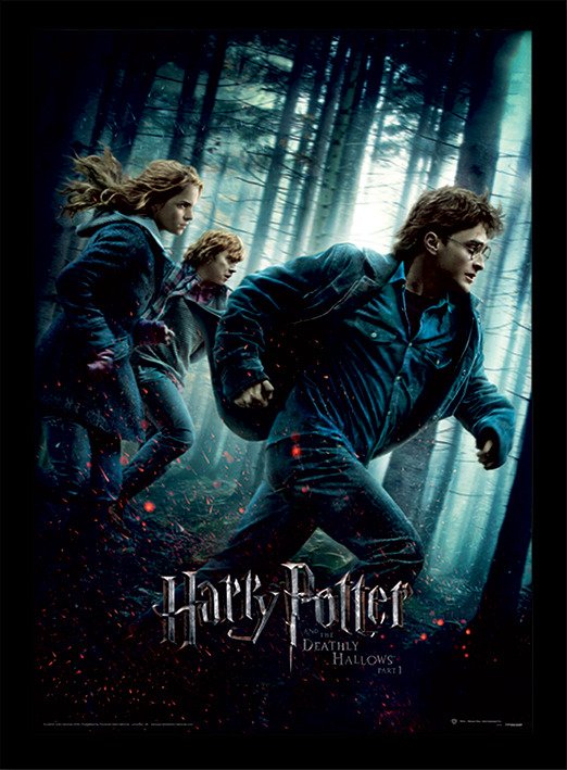 Cover for Harry Potter · HARRY POTTER - Deathly Hollows Part 1 - Collector (Leketøy)
