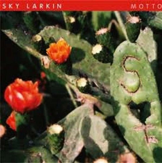 Motto - Sky Larkin - Musik - Wichita Recordings - 5055036213806 - 15. oktober 2013