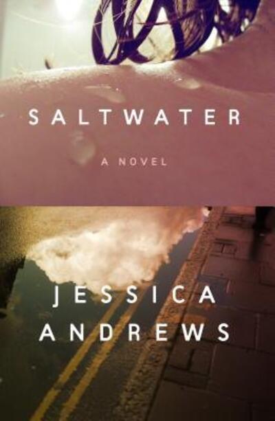 Cover for Jessica Andrews · Saltwater: A Novel (Hardcover Book) (2020)