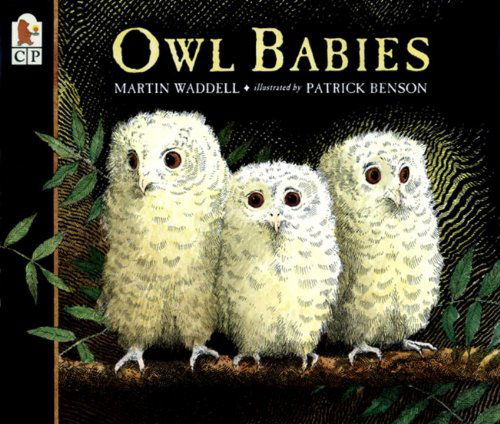 Owl Babies - Martin Waddell - Książki - Turtleback - 9780613747806 - 1 kwietnia 2002