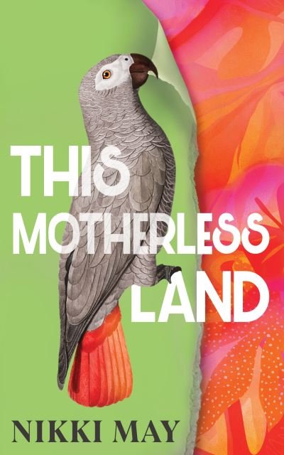 Cover for Nikki May · This Motherless Land (Hardcover Book) (2024)