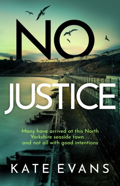 Cover for Kate Evans · No Justice - DC Donna Morris (Hardcover bog) (2023)