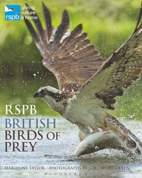Cover for Marianne Taylor · RSPB British Birds of Prey - RSPB (Gebundenes Buch) (2018)