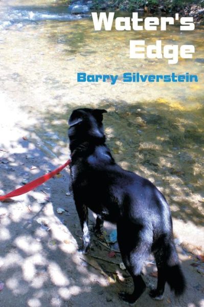 Cover for Barry Silverstein · Water's Edge (Paperback Book) (2011)