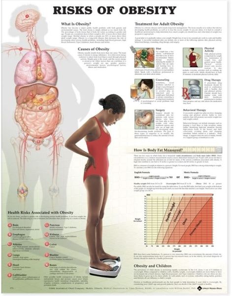 Cover for Anatomical Chart Com · Risk of Obesity (Landkarten) (2004)