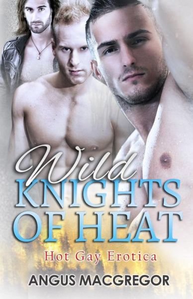 Cover for Angus Macgregor · Wild Knights of Heat: Hot Gay Erotica (Paperback Book) (2014)