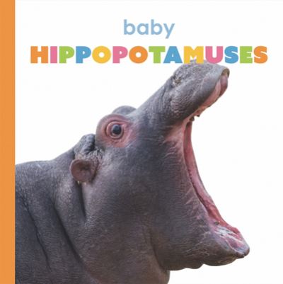 Cover for Kate Riggs · Baby Hippopotamuses (Bok) (2020)