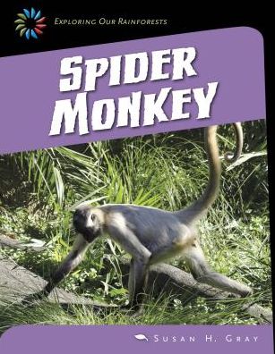 Spider Monkey (21st Century Skills Library: Exploring Our Rainforests) - Susan Heinrichs Gray - Livros - Cherry Lake Publishing - 9781631889806 - 2015