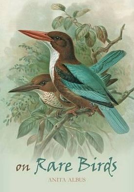 Cover for Anita Albus · On Rare Birds (Hardcover Book) (2011)