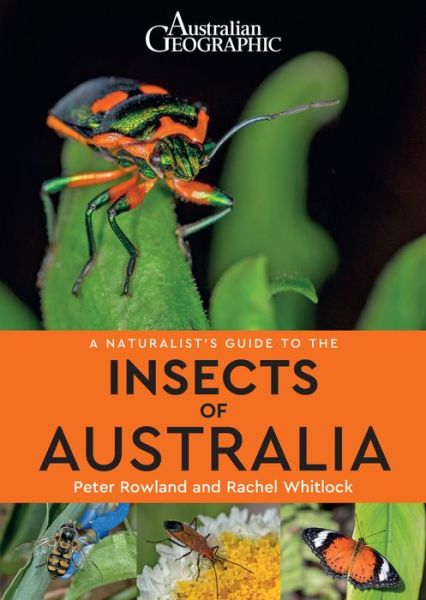 Cover for Peter Rowland · A Naturalist's Guide to the Insects of Australia - Naturalists' Guides (Paperback Book) (2020)