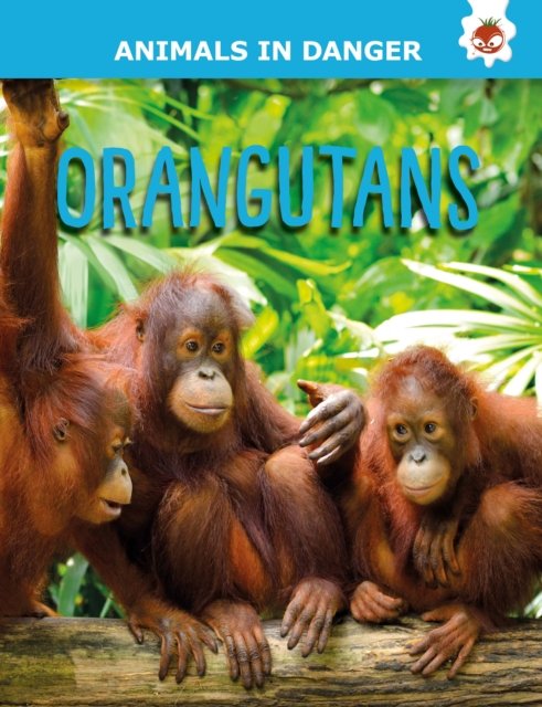 Cover for Emily Kington · Orangutans: Animals In Danger - Animals In Danger (Paperback Book) (2022)