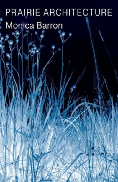 Prairie Architecture - Monica Barron - Bøger - Golden Antelope Press - 9781936135806 - 13. januar 2020