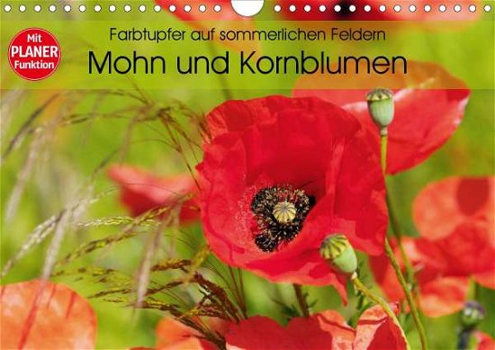 Cover for Frost · Farbtupfer auf sommerlichen Felde (Bog)
