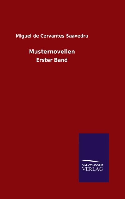 Musternovellen - Miguel de Cervantes Saavedra - Books - Salzwasser-Verlag Gmbh - 9783846072806 - November 8, 2015
