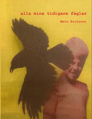 Cover for Mats Eriksson · Alla Mina Tidigare Fåglar (Book) (2023)