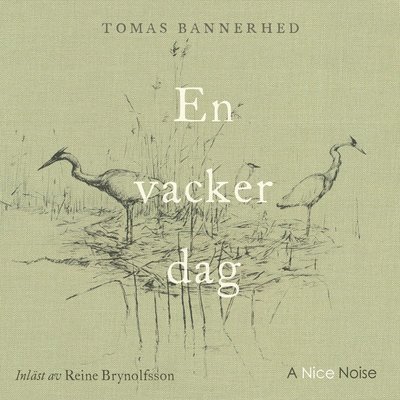 Cover for Tomas Bannerhed · En vacker dag (Audiobook (CD)) (2021)