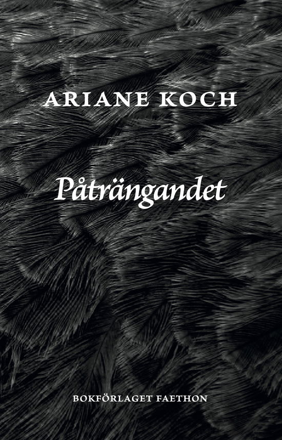 Cover for Ariane Koch · Påträngandet (Hardcover Book) (2024)