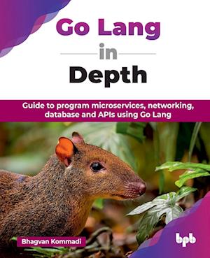 Cover for Bhagvan Kommadi · Go Lang in Depth: Guide to program microservices, networking, database and APIs using Go Lang (Paperback Book) (2025)