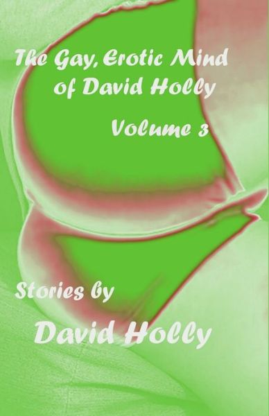 Cover for David Holly · The Gay, Erotic Mind of David Holly, Volume 3 (Paperback Book) (2020)