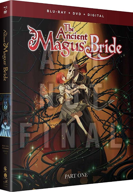Cover for Ancient Magus Bride: Part One (Blu-ray) (2019)