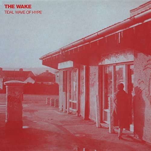 Cover for Wake · Tidal Wave of Hype (CD) (2015)