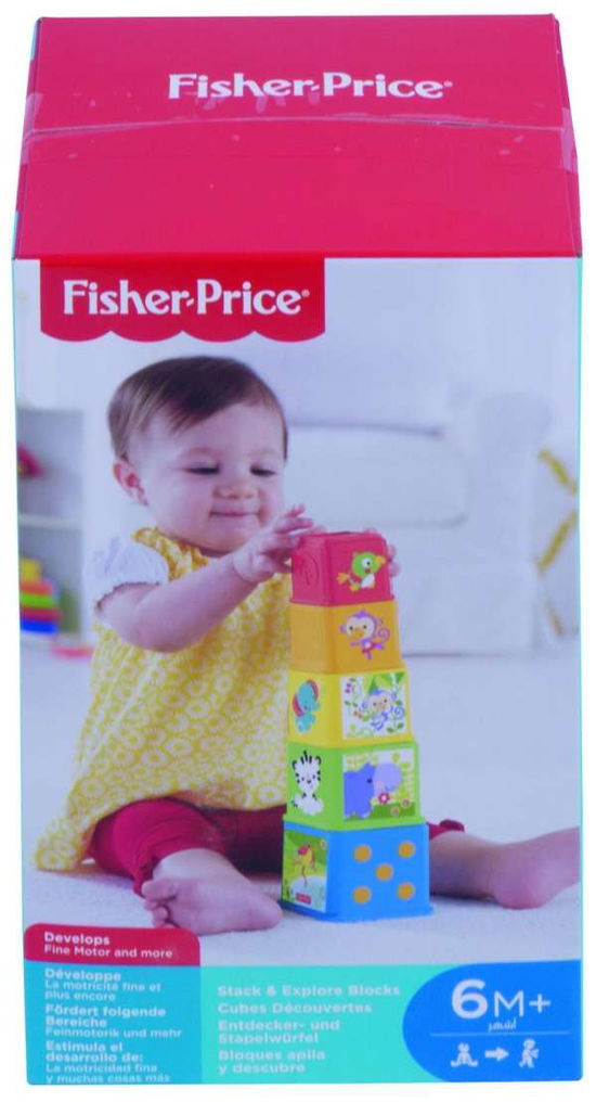 Cover for Infant Toy · Fisher Price Stapel &amp; Leer Blokken (Toys) (2014)