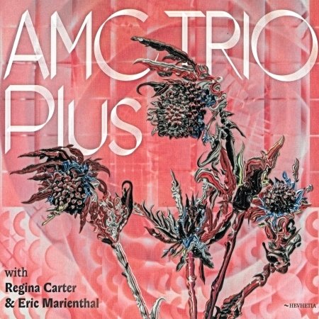 Cover for AMC Trio · Plus with Regina Carter &amp; Eric Marien (CD) (2020)
