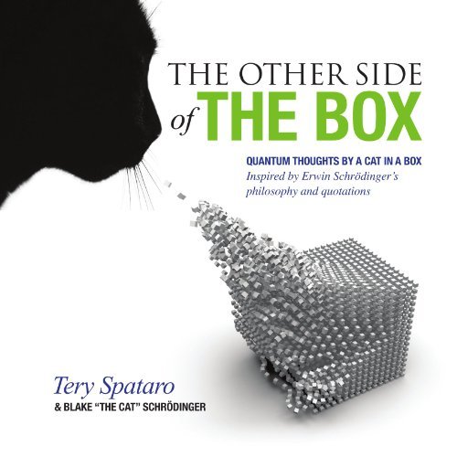 Cover for Tery Spataro · The Other Side of the Box (Paperback Book) (2010)