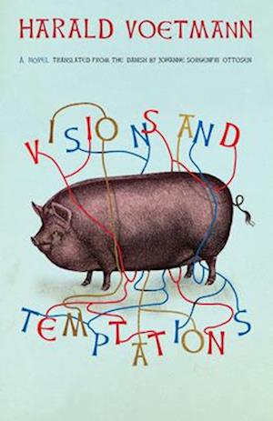 Cover for Visions and Temptations (N/A) (2025)