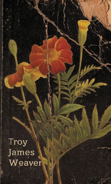 Cover for Troy James Weaver · Marigold (Paperback Book) (2016)