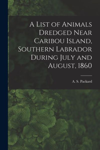 Cover for A S (Alpheus Spring) 1839 Packard · A List of Animals Dredged Near Caribou Island, Southern Labrador During July and August, 1860 [microform] (Paperback Book) (2021)