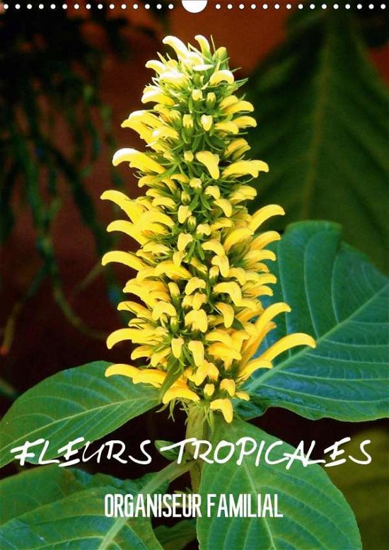 Fleurs tropicales / organiseur fa - Blank - Books -  - 9781325521807 - 