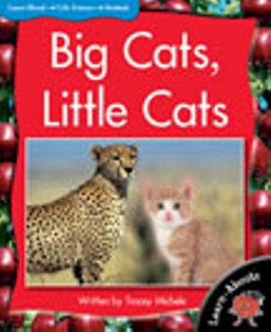 Cover for Sandra Iversen · Learnabouts Lvl 9: Big Cats, Little Cats (Paperback Book) (2016)