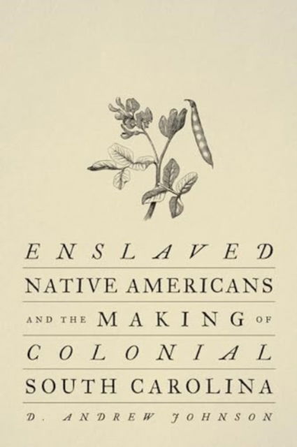 Cover for D. Andrew Johnson · Enslaved Native Americans and the Making of Colonial South Carolina (Hardcover Book) (2024)