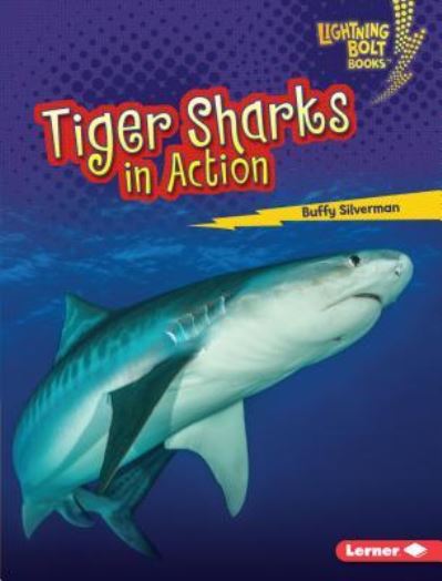 Cover for Buffy Silverman · Tiger Sharks in Action (Book) (2017)