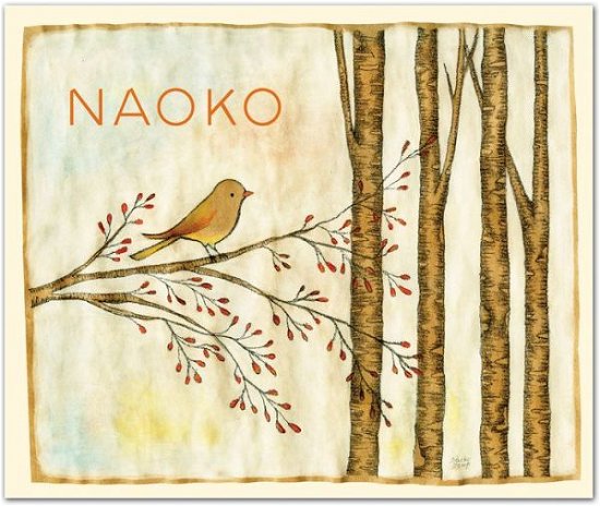 Cover for Naoko Stoop · Naoko QuickNotes - QuickNotes (Flashcards) [Ncr edition] (2009)