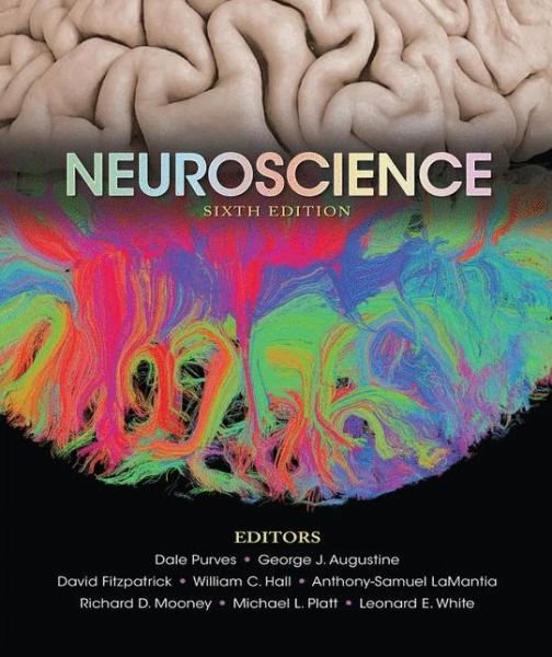 Cover for Dale Purves · Neuroscience (Innbunden bok) (2017)
