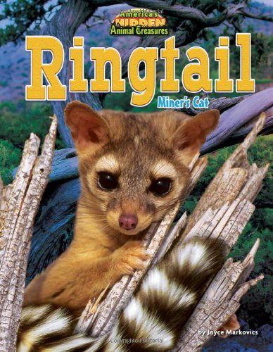 Cover for Joyce Markovics · Ringtail: Miner's Cat (America's Hidden Animal Treasures) (Hardcover Book) (2012)