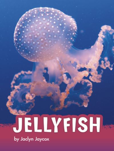 Cover for Jaclyn Jaycox · Jellyfish (Hardcover Book) (2022)