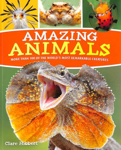 Cover for Claire Hibbert · Amazing Animals: More than 100 of the World's Most Remarkable Creatures (Paperback Book) (2021)