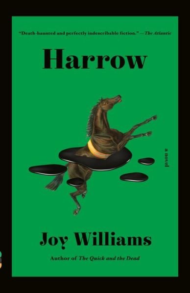 Cover for Joy Williams · Harrow (Paperback Bog) (2022)