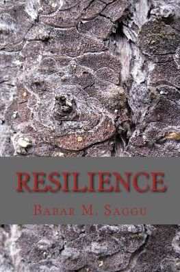 Cover for Babar M Saggu · Resilience (Paperback Book) (2018)